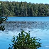 Зеленогорск, фото отдыхающего в августе