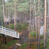 База отдыха Радуга, фото гостя