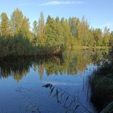 База отдыха Пикник, фото гостя