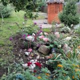 Гостевой дом Березка на Никитинской, фото гостя