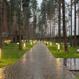 База отдыха PINEWOOD resort & SPA, фото гостя