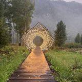 База отдыха PINEWOOD resort & SPA, фото гостя