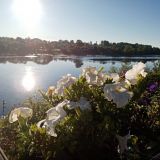 Гостевой дом Староладожская, фото гостя