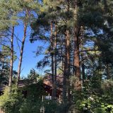 Загородный клуб Жемчужина, фото гостя