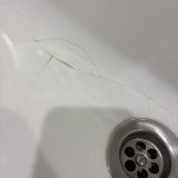 Апарт-отель Зона Комфорта, фото гостя