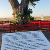 Элиста, фото отдыхающего в сентябре