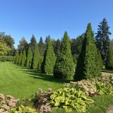 Санкт-Петербург, фото отдыхающего в сентябре