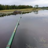 База отдыха Озерный Берег, фото гостя