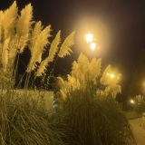 Отель Портофино, фото гостя