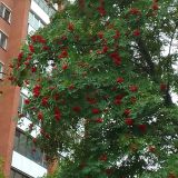 Санкт-Петербург, фото отдыхающего в августе