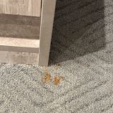 Rabat Hotel, фото гостя