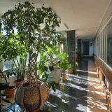 Санаторий Переделкино, фото гостя