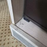 Отель East Gate Hotel, фото гостя