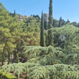 Гостиница Адмирал, фото гостя