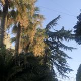 Хостел На Комсомольской, фото гостя