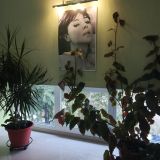 Гостевой дом Голливуд, фото гостя