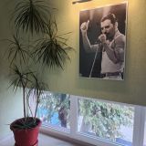 Гостевой дом Голливуд, фото гостя