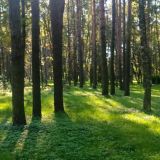 Отель Парк Крестовский, фото гостя