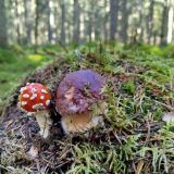 База отдыха Любытино Хутор, фото гостя