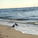 Отель На Черноморской, фото гостя