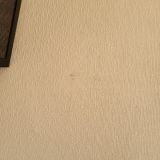 Апартаменты Комнаты на Большой Конюшенной, фото гостя