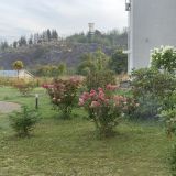 Гостиница Родина, фото гостя