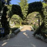 Санаторий Демерджи, фото гостя