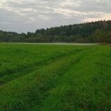 База отдыха Бобровый мыс, фото гостя