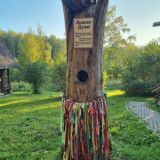 Парк-Отель Берендеевка, фото гостя