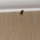 Гостиница Айсберг, фото гостя