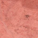 Эллинг Южный ветер, фото гостя