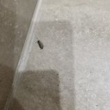 Мини-отель Фешин, фото гостя