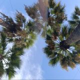 Сочи, фото отдыхающего в сентябре