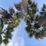 Бутик-Отель AL Mare, фото гостя