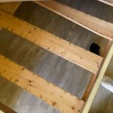 Мини-отель Петр, фото гостя