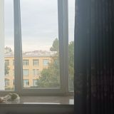 Отель NIHAO Hotel St. Petersburg, фото гостя