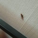 Хостел Travel Inn, фото гостя