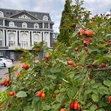 Курортно-развлекательный комплекс Внуково Вилладж, фото гостя