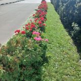 Гостиница Измайлово Бета, фото гостя