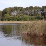 Отель Светлица, фото гостя