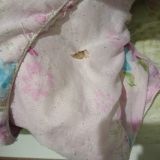 Отель Palace, фото гостя