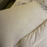 Отель Реальянс, фото гостя