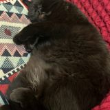 Апартаменты Булгаков, фото гостя