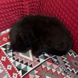 Апартаменты Булгаков, фото гостя