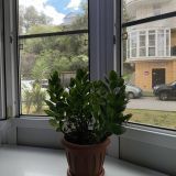 Хостел SunKiss, фото гостя