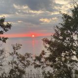 Гостевой дом Арт-деревня Витланд, фото гостя