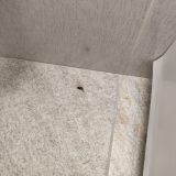 Апарт-отель Гости Любят на Чехова, фото гостя