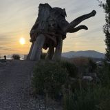 Глэмпинг Слон в удаве, фото гостя