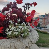 Кавказские Минеральные Воды, фото отдыхающего в сентябре