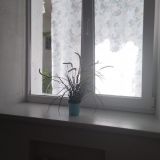 Бутик-Отель Прованс, фото гостя